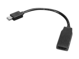 Lenovo 19 pin HDMI Type A | Female | Mini DisplayPort | Male | 0.2 m
