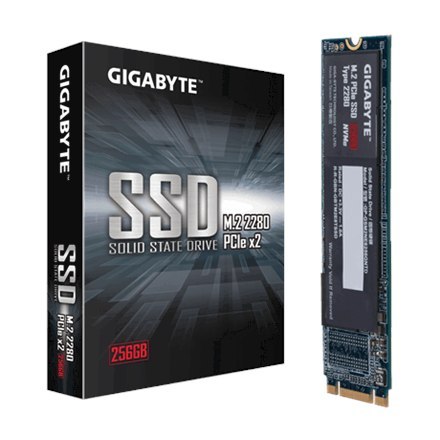 Gigabyte | GP-GSM2NE8256GNTD | 256 GB | SSD form factor | SSD interface M.2 NVME | Read speed 1200 MB/s | Write speed 800 MB/s