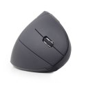Gembird | 2.4GHz Wireless Optical Mouse | MUSW-ERGO-01 | Optical Mouse | USB | Black