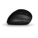 PORT CONNECT | Right handed | Rechargeable Ergonomic Mouse | Wireless | Black | 2 year(s)