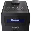 Sharp DR-430(BK) Digital Radio, FM/DAB/DAB+, Bluetooth 5.0, Midnight Black Sharp | Midnight Black | DR-430(BK) | Digital Radio |